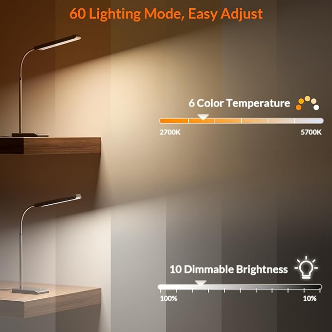 LED Desk Lamp, 12W Reading Desk Lamp for Office Home with 60 Lighting Modes, Touch Control & Timer Function, 750LM Bright Eye-Caring Gooseneck Desk Light Table Lamp for Study, Work, Silver