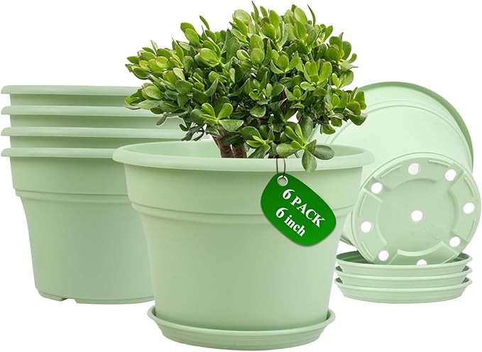 6 Inch Plastic-Flower Pot-for-Indoor Plants, 6 Pack Outdoor Plant Pots with Drainage Holes & Saucers, Resin Garden Pots Planters