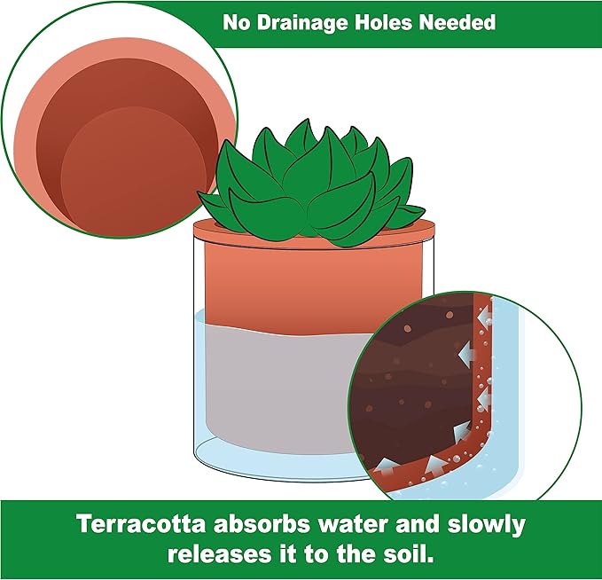 Phoenix Vine 4 Inch Self Watering Plants Pot, Design Terracotta Pot for Plants, Indoor Cylinder Terra Cotta Planter with Glass Vase, Set of 2, 51-A-E-2