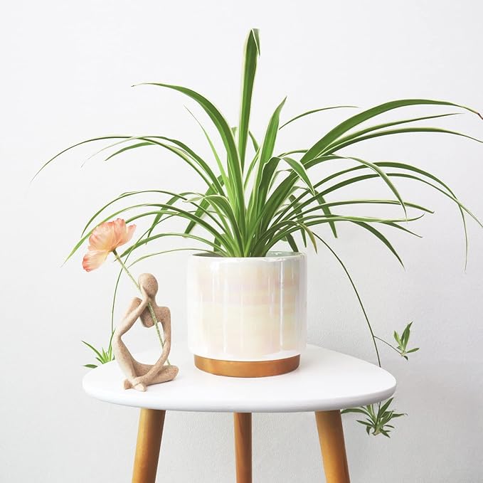 Gepege White Indoor Pots for Plants, Ceramic Planter with Drainage Hole, 6.0 inch+5.0 Inch+4.0 Inch. Succulent Orchid Flower Pot - Rainbow Pearl Glaze