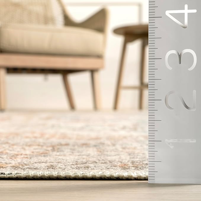 nuLOOM 6x9 Machine Washable Rain Haven Vintage Medallion Area Rug, Light Grey, Traditional Faded Design, Non-Slip Backing, Stain Resistant, For Bedroom, Dining Room, Living Room, Kitchen