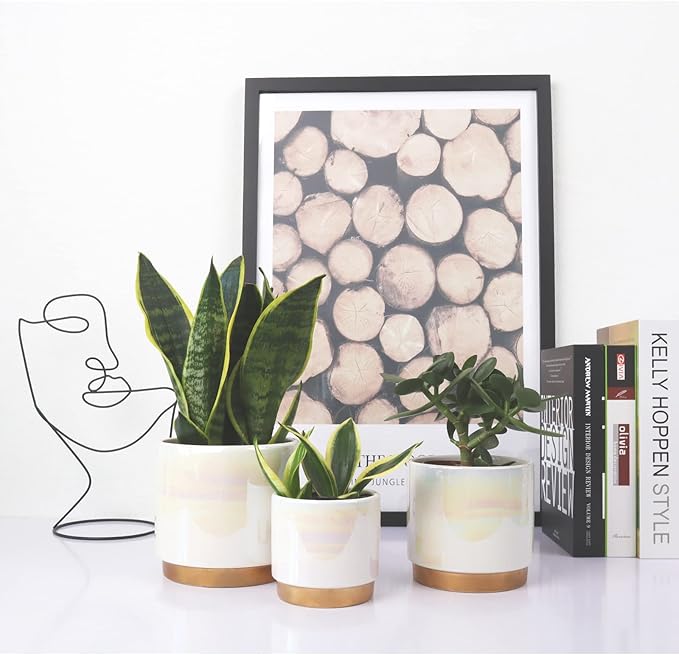 Gepege White Indoor Pots for Plants, Ceramic Planter with Drainage Hole, 6.0 inch+5.0 Inch+4.0 Inch. Succulent Orchid Flower Pot - Rainbow Pearl Glaze