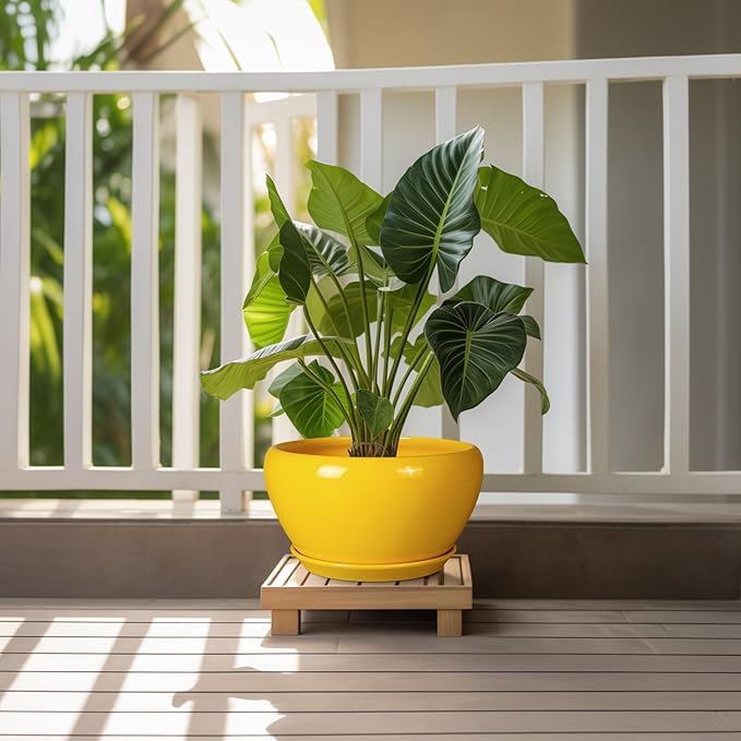 Indoor Planter 11 Inch - Decorative Mid-Century Large Ceramic Plant Pot for Outdoor Plants with Drainage Hole and Saucer, Home Balcony House Garden Patio Office Room Decor, Yellow