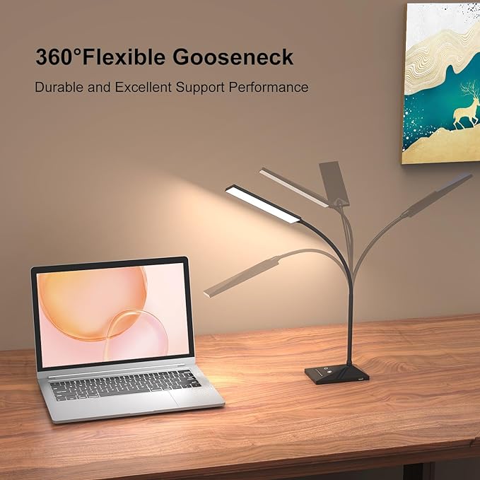 RAOYI LED Desk Lamp, 12W Dimmable Table Lamp Eye-Caring Reading Light with USB Charging Port, Touch Control, 5 Lighting Modes and 6-Level Brightness for Home Office Bedrooms (Black)