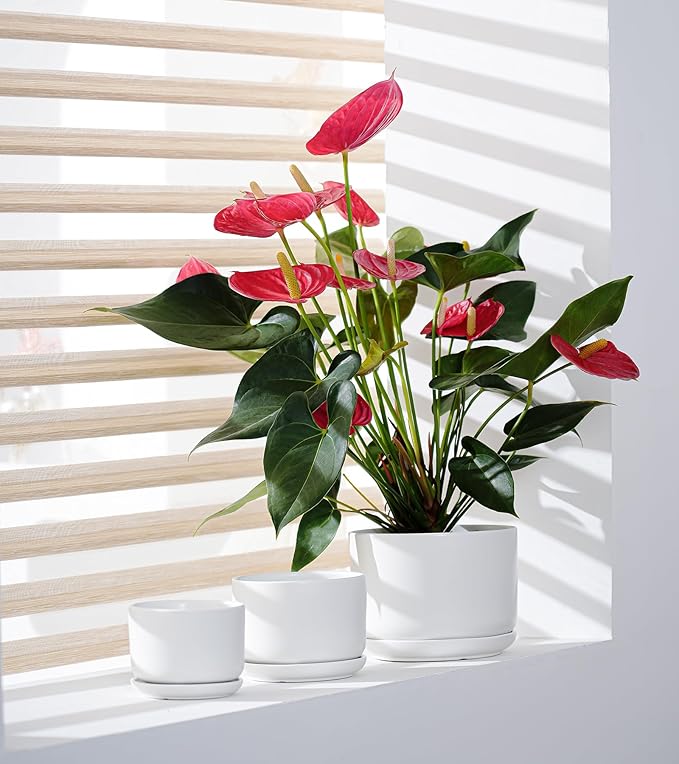 Ton Sin Plant Pots, 4.1+5.1+6.5 inch, Set of 3, Ceramic Planters with Drainage Hole and Saucer, Indoor Flower Pot Gifts for Mom(Matte Black)