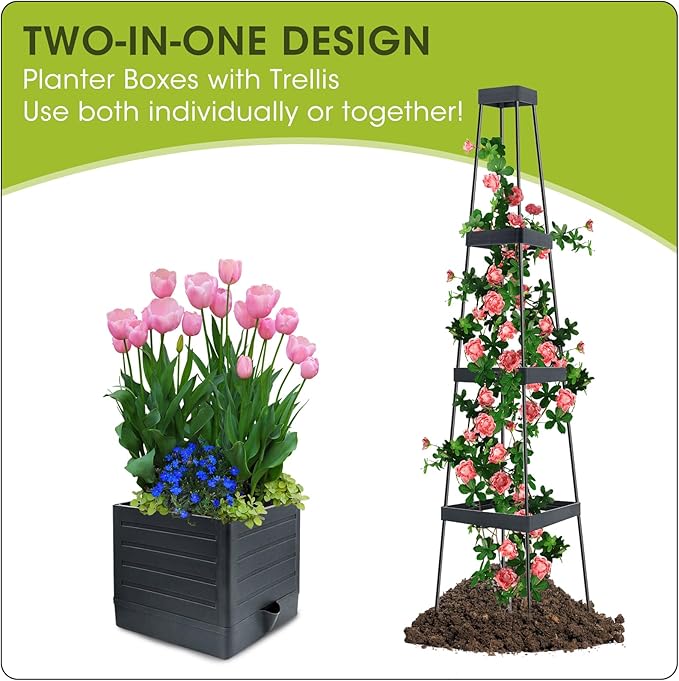 MQFORU Raised Garden Bed, 57" Tomato Planter with Trellis, Tomato Cages for Climbing Vegetables Plant, Self Watering Tomato Support Box for Garden Pots, Use for Patios Greenhouse Indoor Outdoor(1Pc)