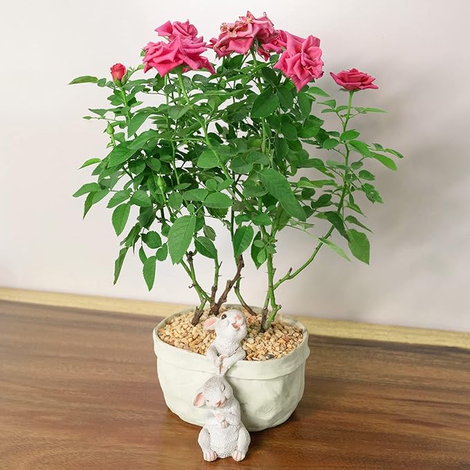 Rabbit Flower Pot Succulent Planter Garden Pots, Easter Decorative Flower Pot,Animal Shaped Cartoon Planter Pots,Art Decorations(with Drainage Hole)