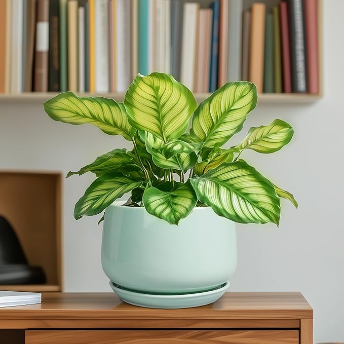 G EPGardening Ceramic Plant Pots - 6 Inch Pot for Plants, Ceramic Planter with Drainage and Saucer, Flower Indoor Outdoor Planter, Modern Bathroom Decor, Birthday Gifts, Green