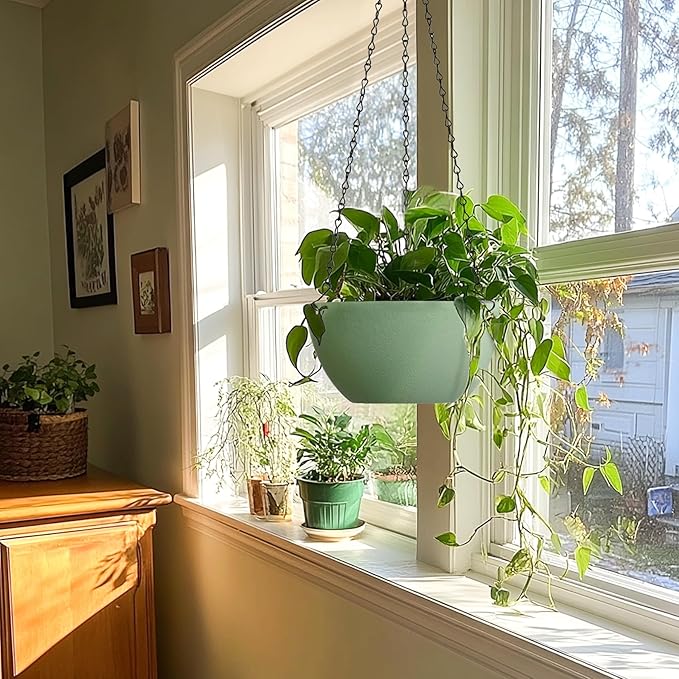 T4U 10 Inch Hanging Planters for Indoor Outdoor Plants, 2 Pack Plastic Hanging Planter, Indoor Hanging Plant Pots, Hanging Basket with Drainage Holes, Flower Pots for Garden Home Decor,Green