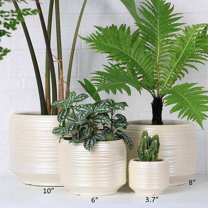 10 Inch Ceramic Plant Pot with Drainage – Large Flower Pot for Indoor Outdoor Plants, Modern Decorative Planter for Patio, Balcony, Garden, or Home Decor