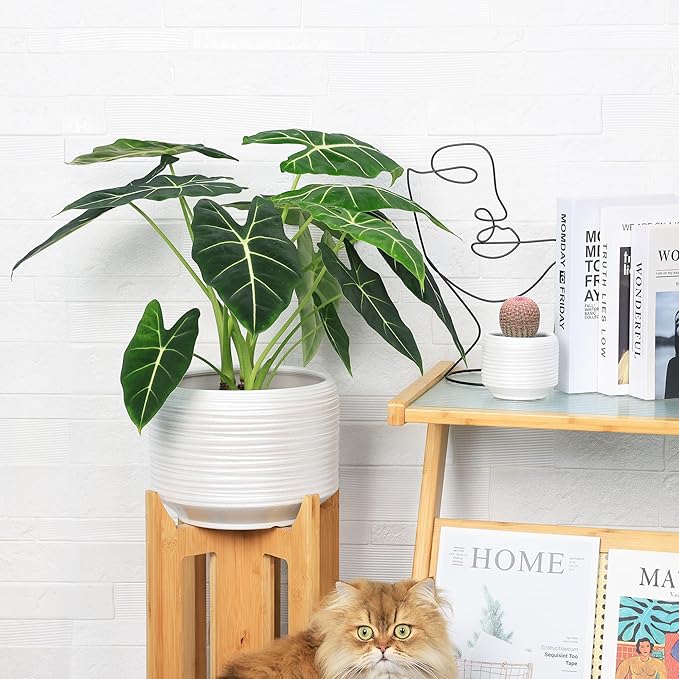 10 Inch Ceramic Plant Pot with Drainage – Large Flower Pot for Indoor Outdoor Plants, Modern Decorative Planter for Patio, Balcony, Garden, or Home Decor