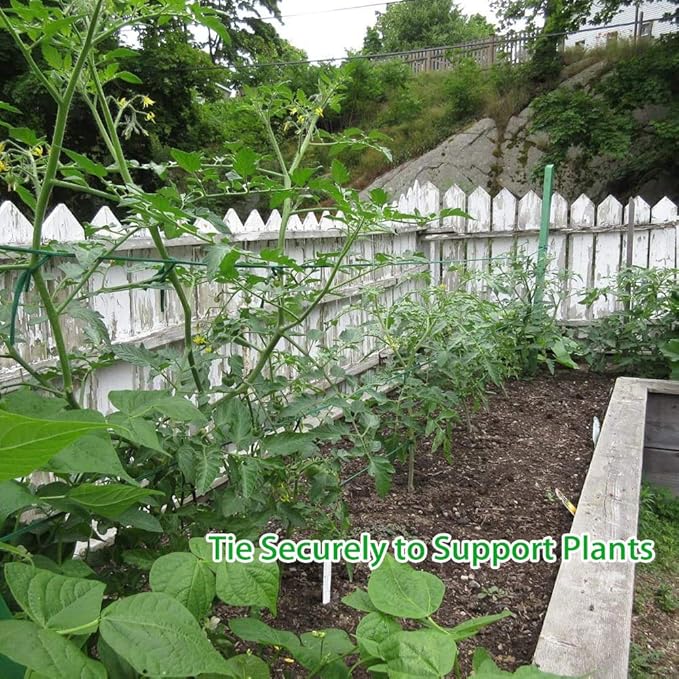 Plant Ties, 164 Feet 8mm Green Garden Twine Soft Garden String Stretchy Tree Supports Biodegradable for Tomato Plants, Climbing Roses and Vines Organizing