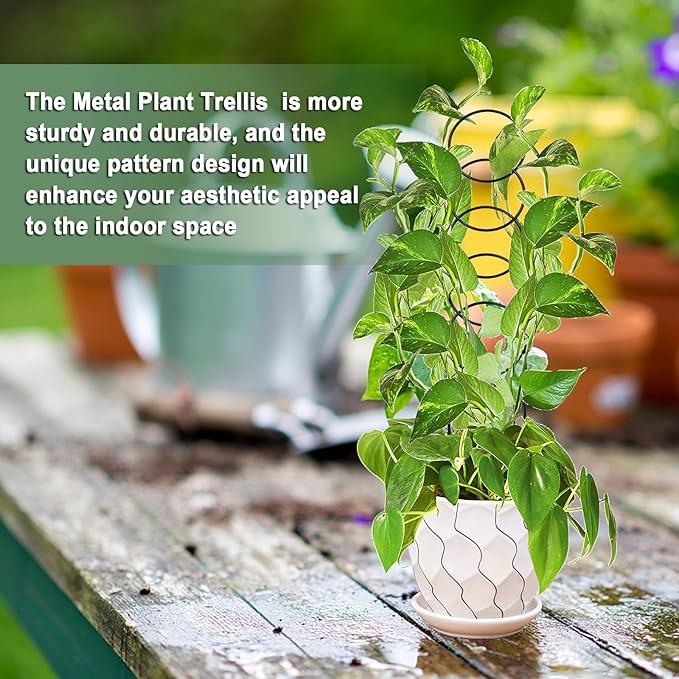 17.5 Inch Plant Trellis Indoor for Climbing Plants,Metal Trellis,Small Garden Trellis for Potted Plants,Plant Stakes for Indoor Plants Accessories Hoya,Flower,Plant Support,Plant Gifts(Circular-Metal)