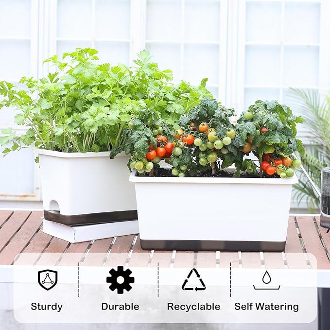 Window Box Planter 6 Pcs, 17 Inches Rectangle Flower Pots with Drainage Holes and Trays, Vegetable Planters for Windowsill Patio Garden Balcony Home Porch Yard Indoor Outdoor (White, 17*7.4*7.8 inch)