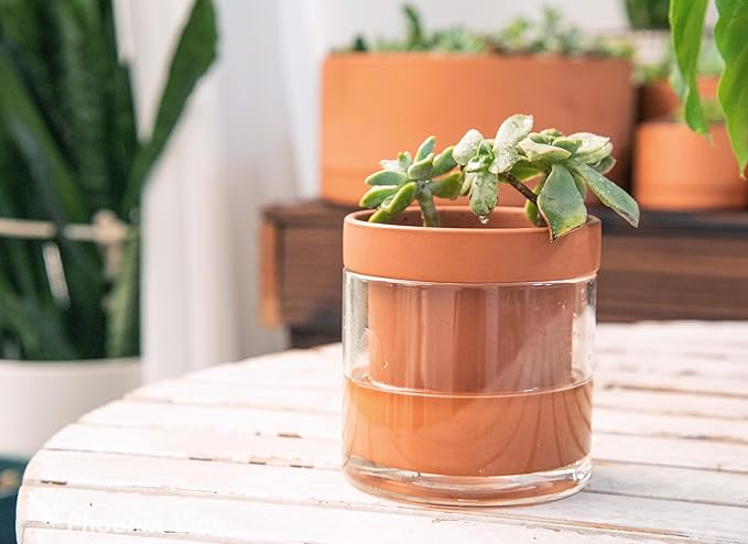 Phoenix Vine 4 Inch Self Watering Planter Pot, Terracotta Clay Pot with Glass Reservoir for Indoor Plants, Herbs, Flowers, Set of 2, 52-A-E-2