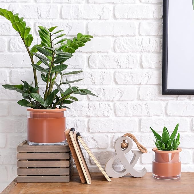Phoenix Vine 4 Inch 6 Inch Self Watering Plants Pots, Design Terracotta Pots for Plants, Indoor Cylinder Terra Cotta Planter with Glass Vase Set, 51-A-G-46