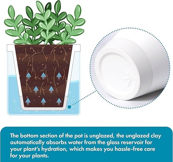 D'vine Dev 4 Inch Design Self Watering Planter for Indoor Plants, White Terracotta Pots with Cylinder Glass Cup, Set of 2, 37-Y-A-2