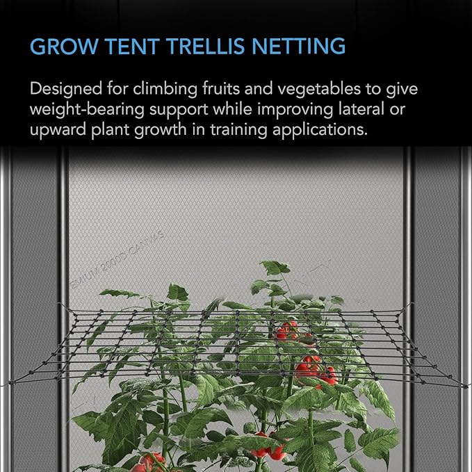 AC Infinity Grow Tent Trellis Netting 2x4', Heavy-Duty Elastic Plant Net with Steel Hooks, Flexible Hydroponics Support for Grow Tents, Gardening, and Horticulture