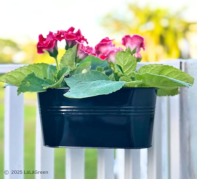 LaLaGreen Rail Planter Outdoor Plants(5 Pack, 11.8 Inch) Black Metal Iron Hanging Flower Pots Deck Railings Fence Buckets Modern Countryside Boho Style Wall Mount Window Box Plant Holder Porch Decor