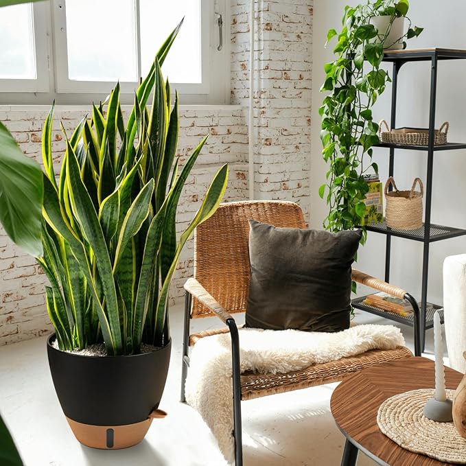 12/10/8 Inch Self Watering Pots for Indoor Plants Plastic Large Plant Pot for Outdoor Plants, Water Level Window & Spacious Reservoir Flower Pots Decorative Planter with Drainage and Tray (Black)
