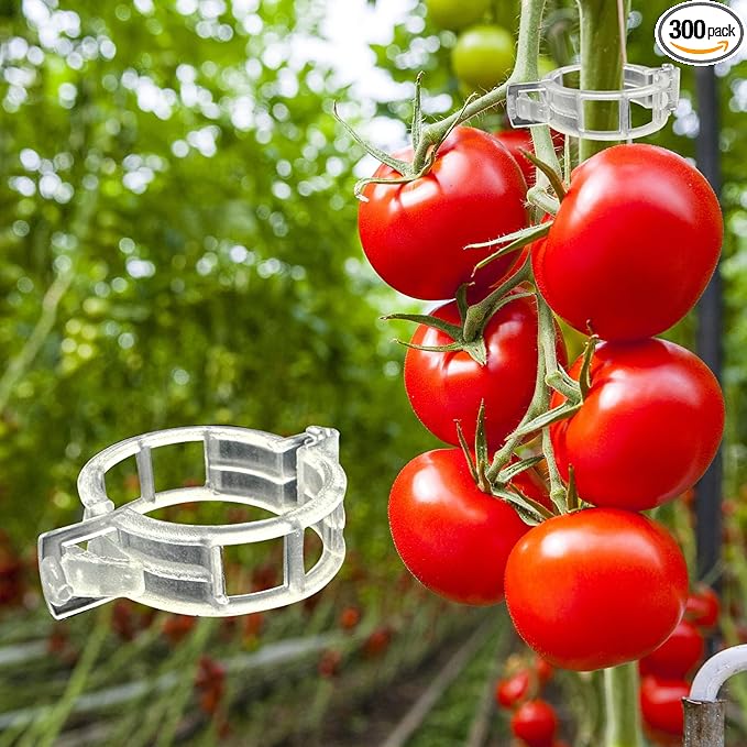 Dalzom® 300Pcs Tomato Clips, Plastic Trellis Clips Plant Support Clips, Plant Clips for Support, Grape Vine, Tomato Vine, Vegetables Plants, Garden Clips to Grow Upright Makes Plants Healthier