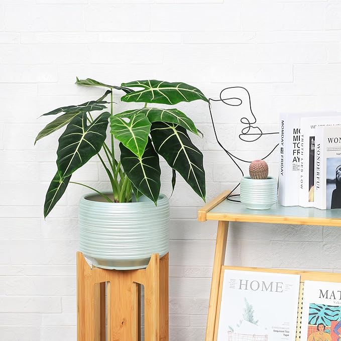 10 Inch Ceramic Plant Pot with Drainage – Large Flower Pot for Indoor Outdoor Plants, Modern Decorative Planter for Patio, Balcony, Garden, or Home Decor