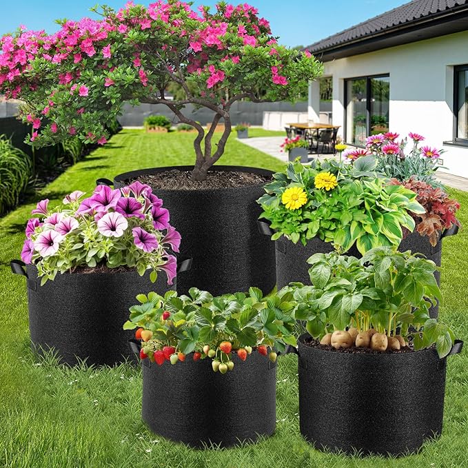 10 Pack 3 Gallon Grow Bags, Thickened Nonwoven Fabric Planter Pots with Handles, Heavy Duty 300G Garden Pots for Tomato, Potato and Vegetable