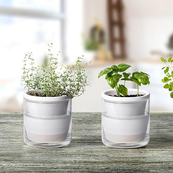 D'vine Dev 4 Inch Design Self Watering Planter for Indoor Plants, White Terracotta Pots with Cylinder Glass Cup, Set of 2, 37-Y-A-2