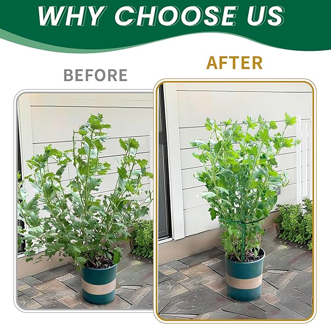 TCBWFY 10 Pack Garden Plant Support Stakes,10" Widex16 High Heavy Duty Interlinked Half Round Peony Support Ring Cage for Indoor Outdoor Plants,Plant Supports for Peony,Tomato,Hydrangea,Rose