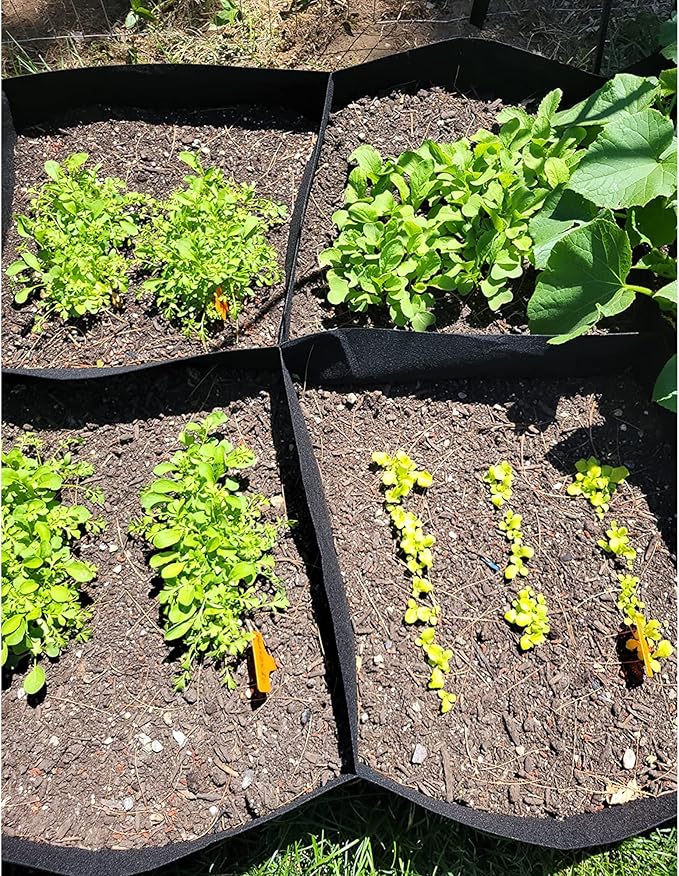CJGQ 2 Pack Fabric Raised Garden Bed 6x3x1ft Garden Grow Bed Bags for Growing Herbs, Flowers and Vegetables 128 Gallon…