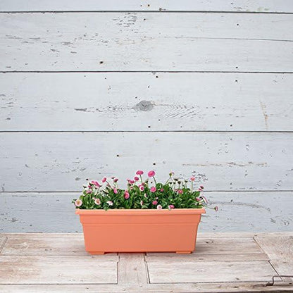 Novelty 16195, Terracotta, Countryside Flower Box Planter, 18-Inch
