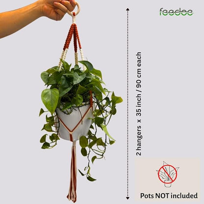 feedee 2 Pack Plant Hanger Indoor, Hanging Plant Holder, Macrame Plant Hangers, Handmade Boho Two-Tone Plant Hanger, Indoor Outdoor Flower Pots Holder, Home Décor Ivory (POTS NOT Included)