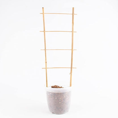 Avalution 10 Pack Natural Bamboo Trellis for Climbing Plants 16" Outdoor Garden Ladder Trellis, Fan -Shaped Plant Support Trellis for Potted Plant