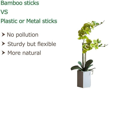40pcs Natural Bamboo Sticks for Indoor and Outdoor Plants, 16 Inch Plant Support Stakes for Tomato, Beans, Potted Plants and Vegetable