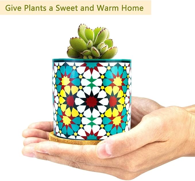 6 Pack Mandala Succulent Plant Pot with Bamboo Trays, Ceramic Multicolored Succulent Container Planter Pot for Small Plant