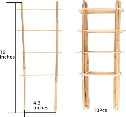 Avalution 10 Pack Natural Bamboo Trellis for Climbing Plants 16" Outdoor Garden Ladder Trellis, Fan -Shaped Plant Support Trellis for Potted Plant