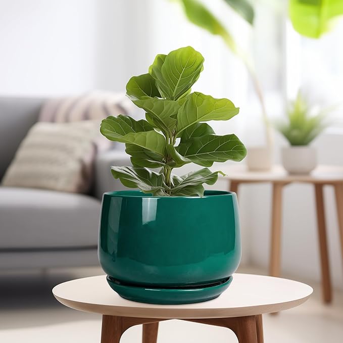 G EPGardening Ceramic Pots for Plants - 9 Inch Ceramic Planter for Indoor Plants, Round Planter with Drainage and Saucer, Modern Flower Pots for Outdoor, House Decor, Garden Gifts, Green