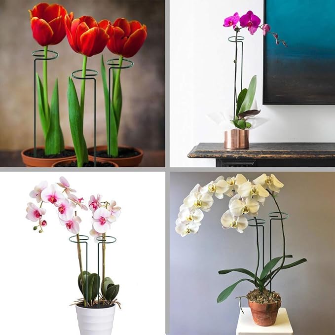 HiGift 17 inch Plant Support Stakes, 4mm Thick Garden Single Stem Flower Support Stake Amaryllis Plant Cage Support Rings with 10 pcs Plant Clips for Tomato Orchid Lily Peony Rose Flower Stem-5 Pack