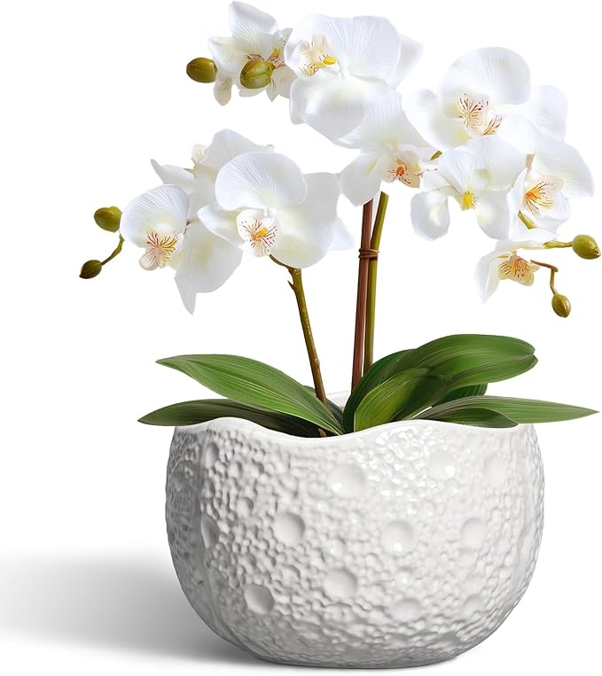 Ceramic Pots for Plants - 6 Inch Plant Pot for Indoor Outdoor, Decorative Orchid Pots with Drainage Hole, Unique Round Modern Planters, Home Decor, Gifts for Plant Lovers, White
