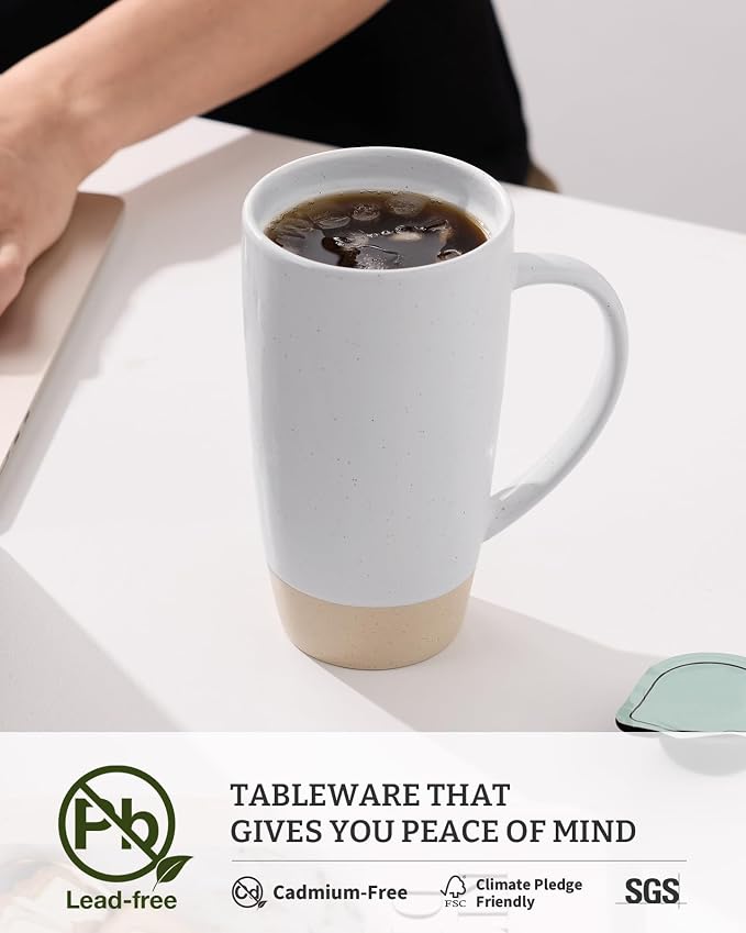 famiware Milkyway Coffee Mugs, 20oz Large Coffee Mug, Ceramic Mug Set of 2 with Lid, Cup Set with Handle for Latte, Tea, Cocoa, Milk, Home & Office, Light Gray