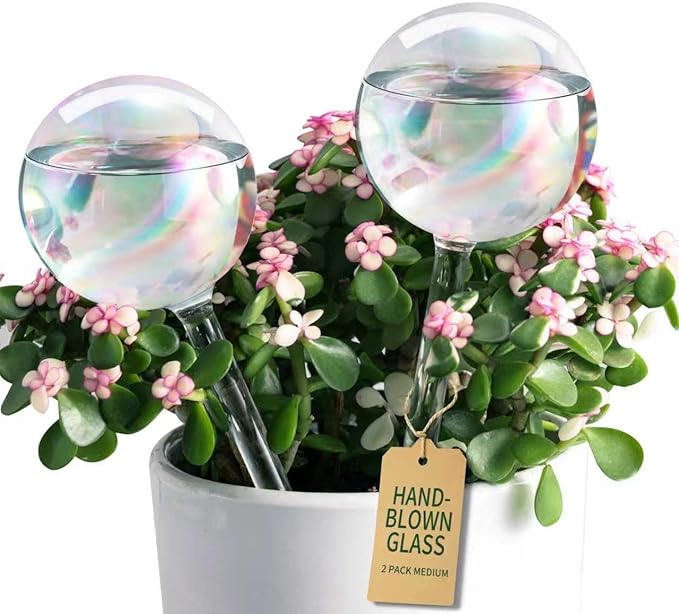 Extra-Thick Clear Glass Plant Watering Globes, Rainbow Gradient Self Watering Globes, Automatic Plant Waterer, Self Watering Planter Insert Spikes Devices for Everyday or Vacation Use, 2-Pack
