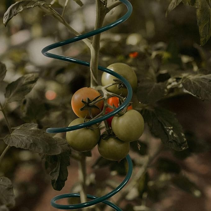 4Pack Spiral Tomato Stakes Plant Trellis ，Indoor Metal Wire Garden Trellis ，Small Climbing Leaf Shape Trellis for Garden Potted Plant