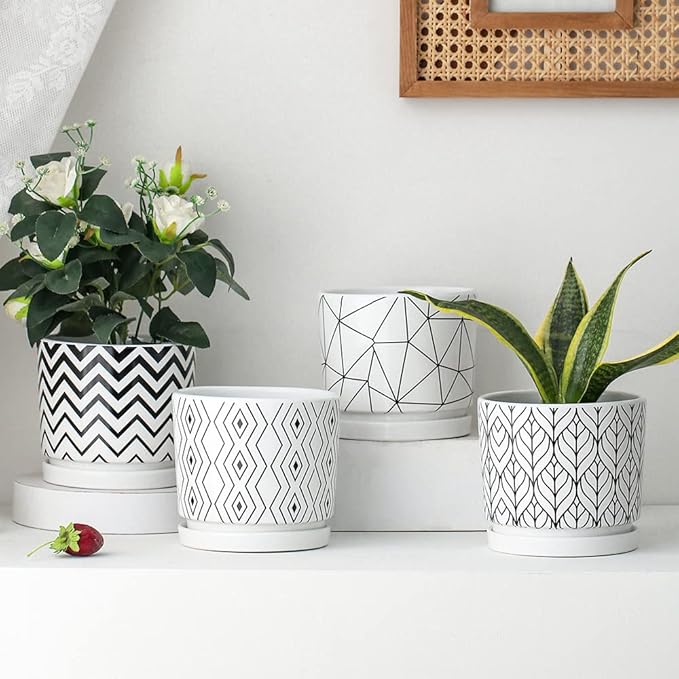 Ton Sin Plant Pots,5.5 Inch White Pots for Indoor Plants with Drainage Holes,Cylinder Flower Pot Ceramic Planters with Saucer,Cactus Succulent Outdoor Garden Pots Set of 4