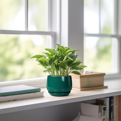 G EPGardening 4 inch Plant Pots - Small Ceramic Planter with Drainage Hole & Tray, Succulent Pots Indoor Outdoor, Round Modern Planter, Decorative Flower Pot, Desk Decor, Gifts for Plant Lover, Green