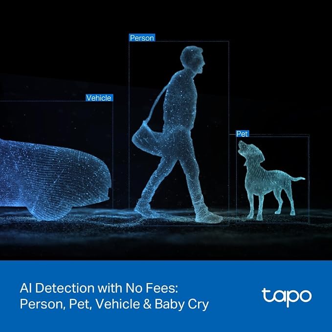 Tapo 2K Indoor/Outdoor Dual Lens Pan/Tilt Wired Security Camera - 125° Wide-Angle View + 6mm Zoom, Motion Track, Person/Vehicle Detection, Local Storage or Optional Cloud, C246D