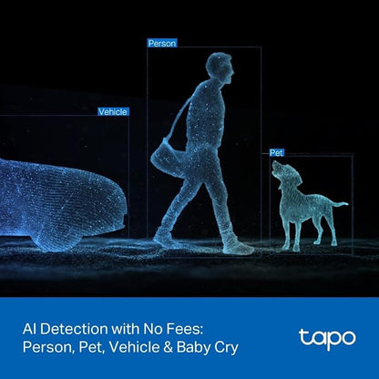 Tapo 2K Indoor/Outdoor Dual Lens Pan/Tilt Wired Security Camera - 125° Wide-Angle View + 6mm Zoom, Motion Track, Person/Vehicle Detection, Local Storage or Optional Cloud, C246D