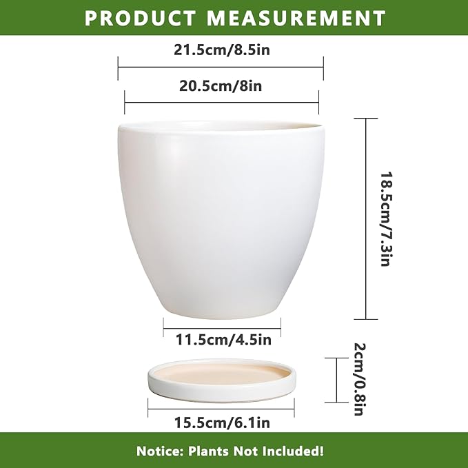 8 Inch Plant Pot - Ceraimc Planter for Indoor Outdoor Plants, Round Flower Pots with Drainage and Tray, House Decor, White