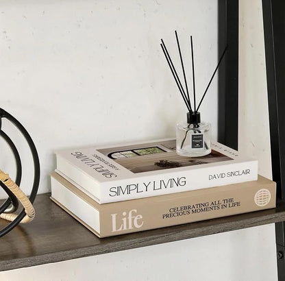 Decorative Books for Home Decor,2 Pcs Modern Minimalist Faux Book for Home Decoration,Coffee Table Decor,Living Room Aesthetic Accent (E1)