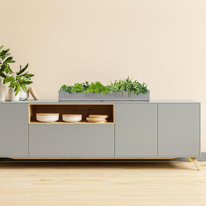 Trough Rectangle Planter Long Window Sill Planter Box Stainless Steel Window Planters Modern Succulent Planter Slivery 32 in Metal Windowsill Pot for Indoor Plants Herb Table Home Outdoor