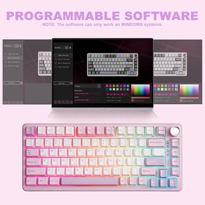 YUNZII B75 PRO 75% Wireless Mechanical Keyboard (Purple, Milk Switch) | Hot Swap Keyboard with Knob, Gasket Mount, Creamy Pre-lubed Switch for Smooth Typing, BT/USB-C/2.4G, for Gaming